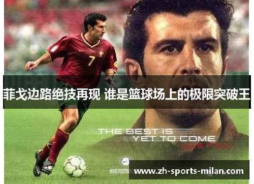 菲戈边路绝技再现 谁是篮球场上的极限突破王