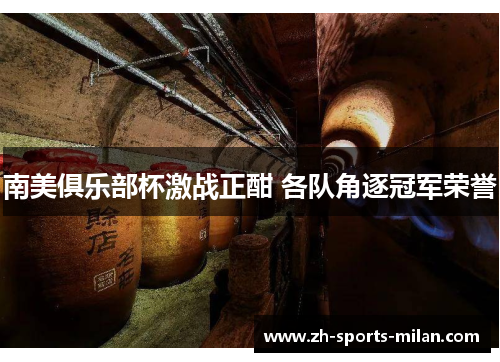 南美俱乐部杯激战正酣 各队角逐冠军荣誉