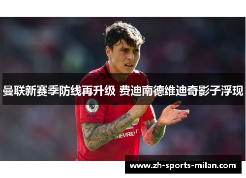 曼联新赛季防线再升级 费迪南德维迪奇影子浮现